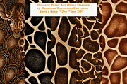Giraffe Fur Animal Print Art Pattern, a Pattern Graphic by karenfoleyphoto (Thumbnail 1 of 6)