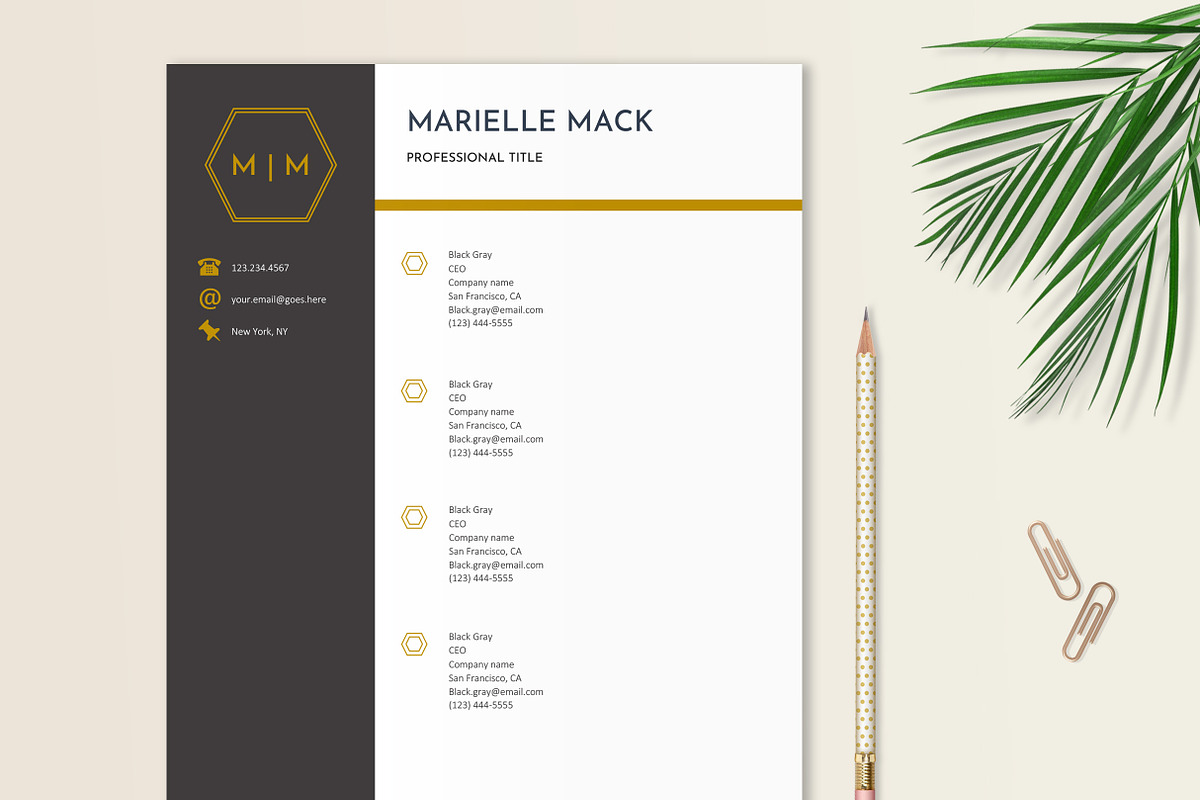 Elegant Resume Template, a Resume Template by Stanin Studio (Photo 6 of 10)
