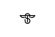 Minimalist Luxury Initials TS Logo, a Branding & Logo Template by Luxury Logos (Thumbnail 3 of 4)