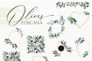 Toscana Olives Greenery, a Food Illustration by Olga Koelsch (Thumbnail 3 of 13)