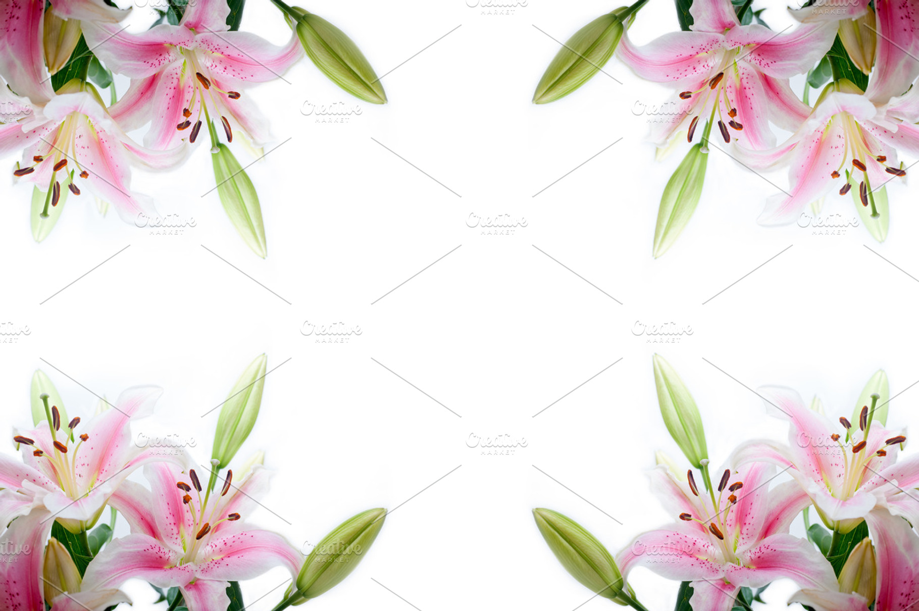 Lily flowers stock photo containing flower and white, a Nature Photo by keko64