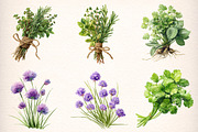 Watercolor Herbs Clipart, an Object Illustration by Digital Artistic99 (Thumbnail 2 of 11)