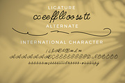 Sweet Talker - Monoline Script style, a Script Font by mahstudios (Thumbnail 6 of 8)