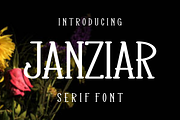 Janziar, a Serif Font by lelevien (Thumbnail 3 of 5)