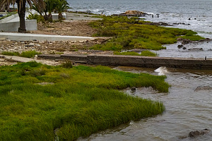 Coastal scene at rio de la plata river, montevideo, uruguay, a Nature Photo by DanFLCreativo