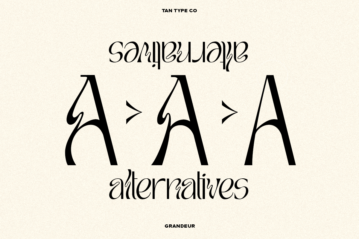 TAN - GRANDEUR, a Sans Serif Font by TanType (Photo 23 of 25)