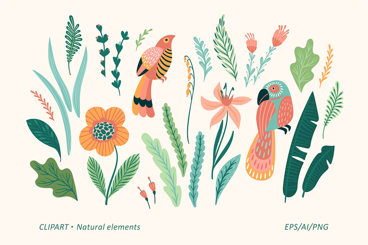 Save Nature. Vector collection, a Person Illustration by Nadia Grapes (Photo 4 of 9)