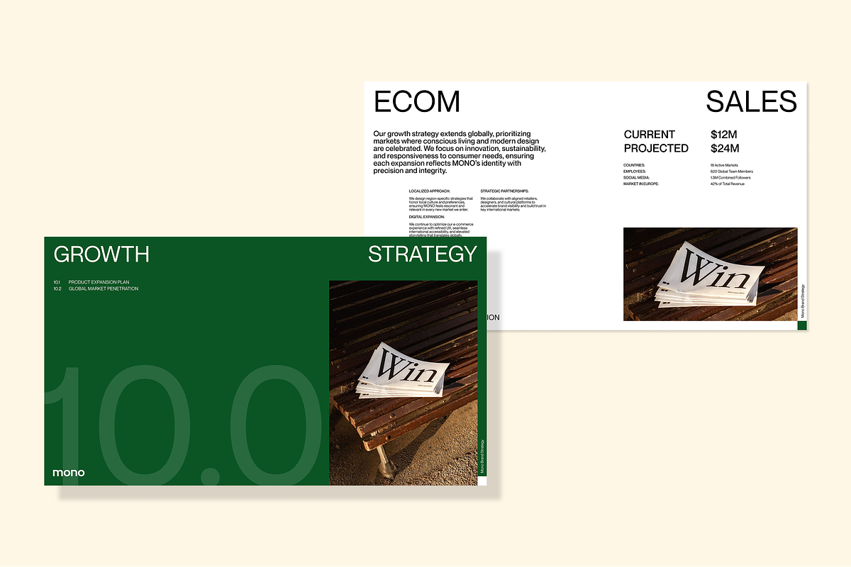 Brand Strategy Template, a Presentation Template by Monolime (Photo 6 of 9)