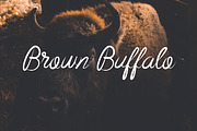Beast Fantasia, a Script Font by BeFont (Thumbnail 2 of 6)