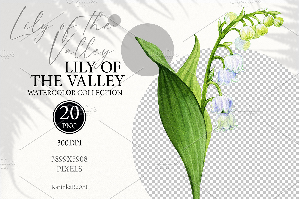 Watercolor flower Lily of the valley, a Decorative Illustration by KarinkaBU (Photo 5 of 5)