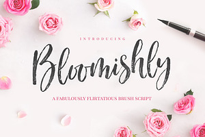 Bloomishly Brush Font, a Script Font by Nicky Laatz