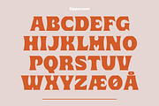 Lauge, a Sans Serif Font by Jan-Christian Bruun (Thumbnail 2 of 14)