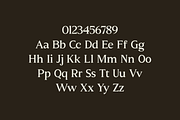Molimer Family Serif Font, a Serif Font by Marvadesign (Thumbnail 7 of 11)