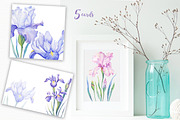 SALE! Watercolor Irises, an Illustration by Irina Diasli (Thumbnail 4 of 5)