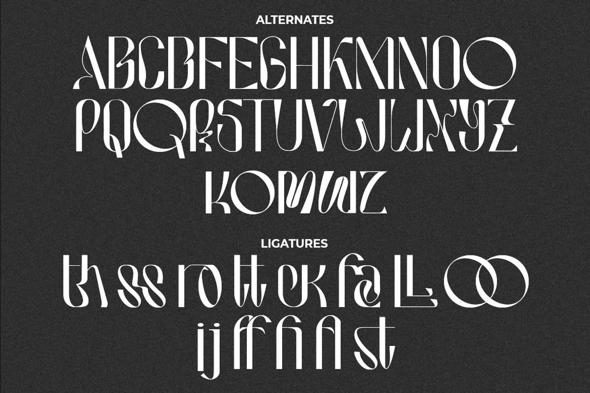 Hausser Modern Display, a Font by Creatype Studio (Photo 8 of 11)