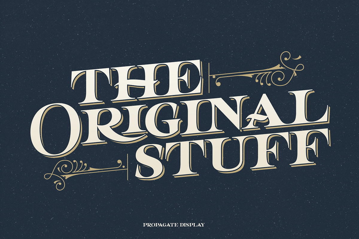 Propagate - Vintage Serif, a Sans Serif Font by Graptail (Photo 3 of 12)