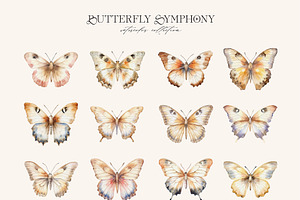 Butterfly Symphony Watercolor