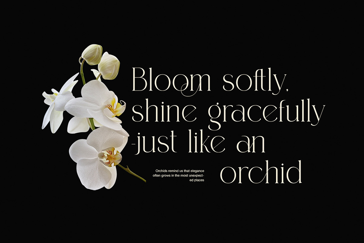 Roman Elegant Ligature Serif Font, a Serif Font by Graphicxell (Photo 6 of 8)