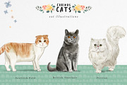 Curious Cats Feline Clipart, an Animal Illustration by Twigs and Twine (Thumbnail 4 of 11)