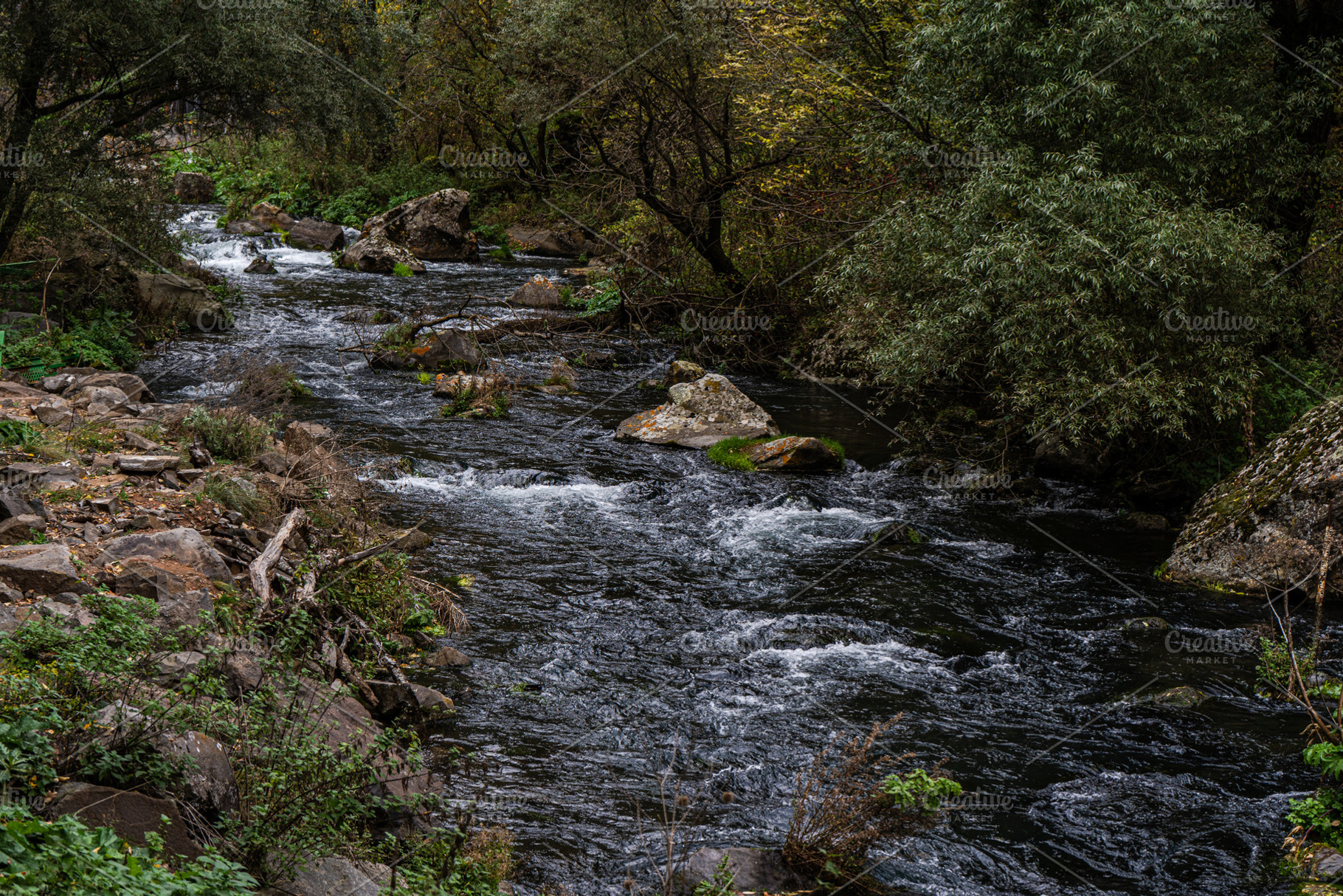 Dashbashi canyon in Georgia in autumn, a Nature Photo by Anna Bogush