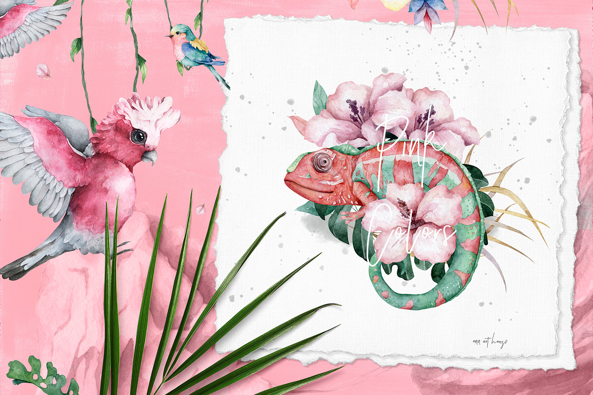 Tropical Wildlife Watercolor set, an Illustration by Ann Art Houze (Photo 7 of 13)
