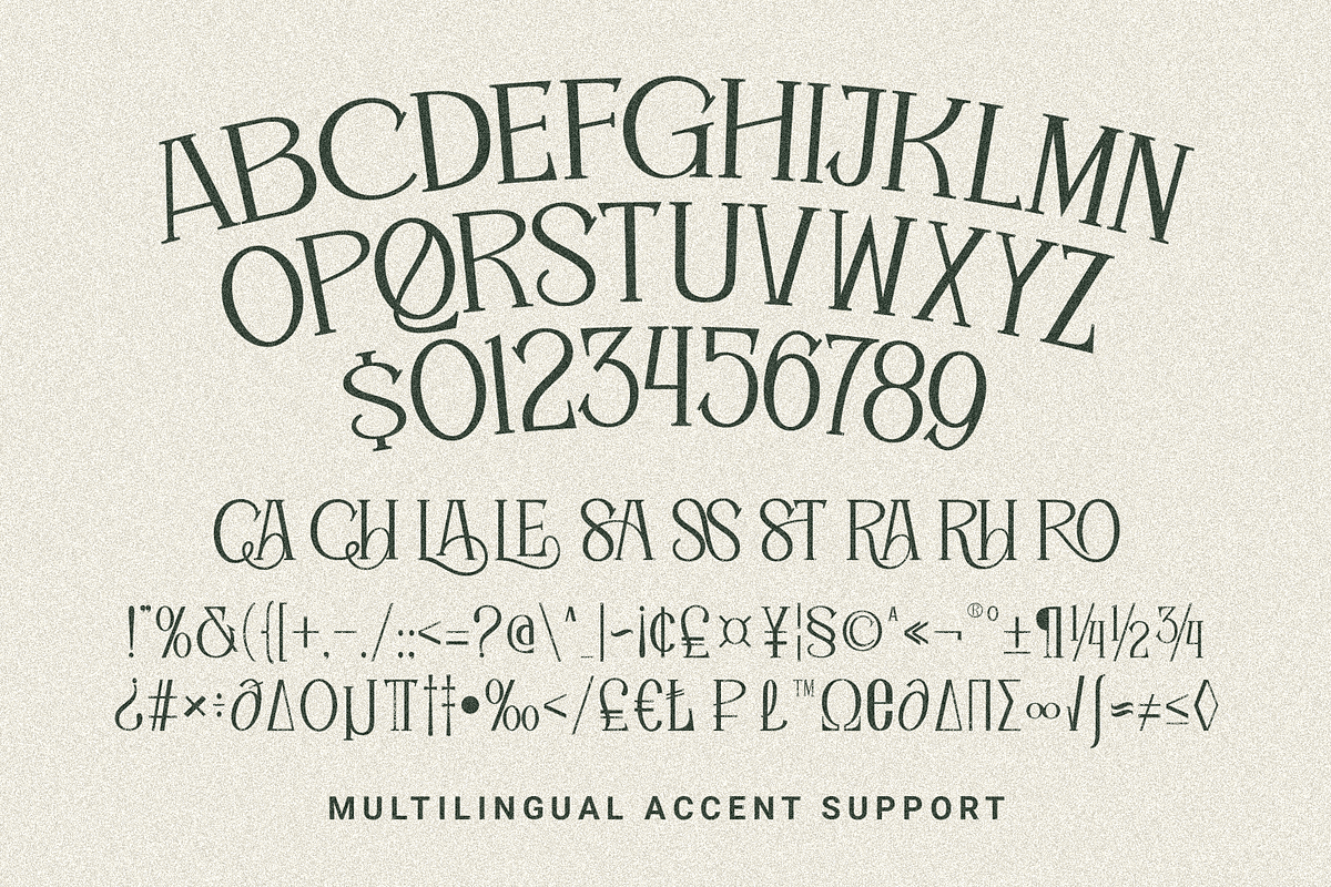 Seville Milano - Timeless Editorial, a Script Font by Tyasify (Photo 10 of 10)
