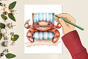Whimsical Summer Crab Clipart, a Seasonal Illustration by CitraGraphics (Thumbnail 5 of 6)