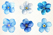 Forget Me Not Flower Bloom Clipart, an Illustration by Dream Creation (Thumbnail 5 of 5)