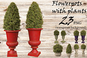 Flowerpots with plants, a Nature Photo by Tempera (Thumbnail 1 of 2)
