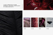 Dark Floral & Mineral Stock Photos, a Nature Photo by Tale.Haus (Thumbnail 6 of 17)