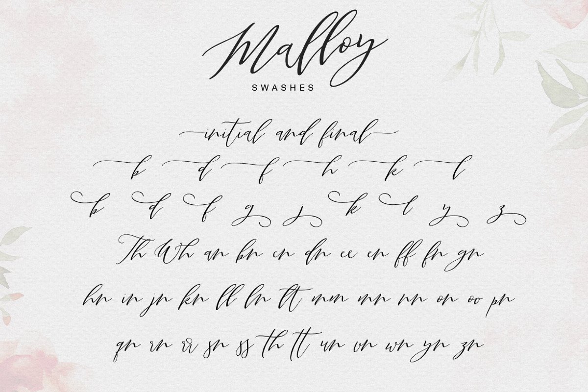 Malloy preview 8