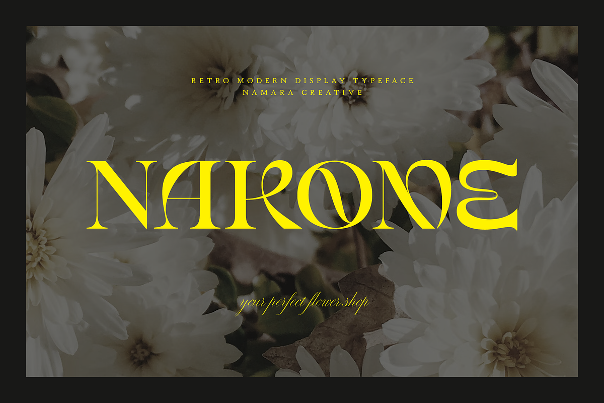 Erakov - Retro Modern Serif Display, a Serif Font by Namara Creative Studio (Photo 3 of 9)