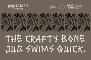 Boneglyph Font, a Symbol Font by Fontcamp Type Foundry (Thumbnail 9 of 10)