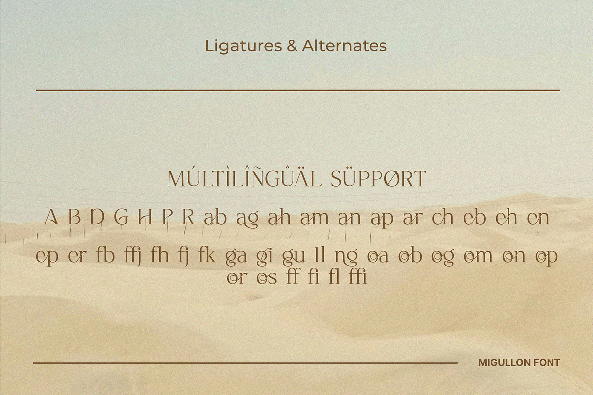 Migullon - Modern & Elegant Serif, a Serif Font by BrandSemut (Photo 9 of 10)