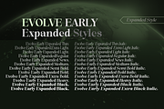 Evolve Early Serif Font Family, a Serif Font by groens (Thumbnail 12 of 15)