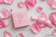 Leaf Branch Border Svg Bundle 013, an Illustration by Drawberx (Thumbnail 6 of 8)