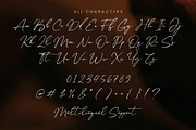 Jonathan Signature Font, a Script Font by Timurtype (Thumbnail 6 of 7)