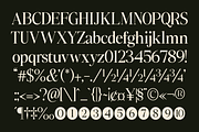 Slotera Calse Family Serif, a Serif Font by Marvadesign (Thumbnail 8 of 12)