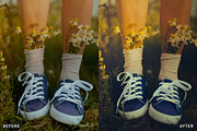 Ai Cherry Blossom Lightroom Presets, a Brushes & More by AAA Presets (Thumbnail 8 of 13)
