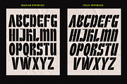 Scater - Bold Sans Font, a Sans Serif Font by Font Liner (Thumbnail 11 of 13)