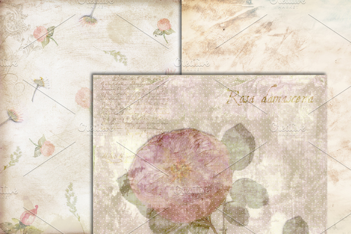 Nature Vintage Flower Set preview 2