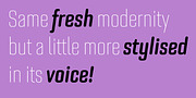 Bourgeois Rounded, a Sans Serif Font by Barnbrook Fonts (Thumbnail 4 of 9)