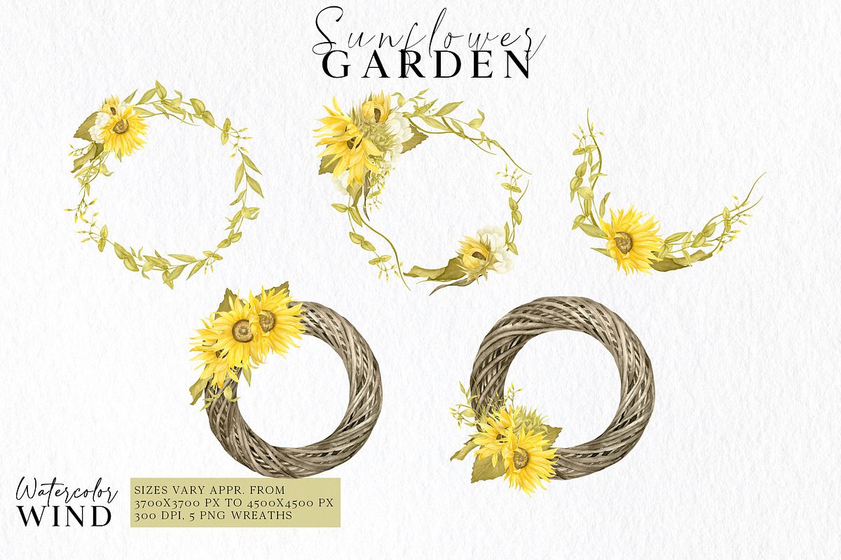 Watercolor Sunflowers Clipart, an Illustration by Ksenia Shmakova (Photo 6 of 12)