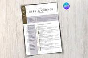 Modern Executive Resume Template, a Templates & Theme by iloveTemplate (Thumbnail 5 of 5)