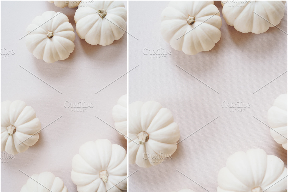 Blush Fall Pumpkins Styled Stock, a Mockup by LaPorte Images (Photo 3 of 3)