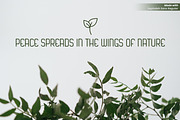 Sepindah Font Duo Sans & Script, a Handwritten Font by Iwanistic (Thumbnail 4 of 15)