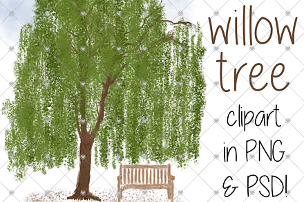 willow tree, trees, family tree,