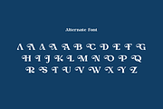 Rytnak - Luxury Retro Font, a Serif Font by QR Design Studio (Thumbnail 9 of 15)