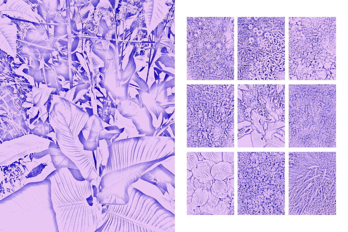 Duotone Foliage, a Texture Graphic by maggiereuter (Photo 4 of 6)