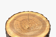 Wood Log Slice, an Environmental 3D Model by 3D_PikNik (Thumbnail 3 of 15)